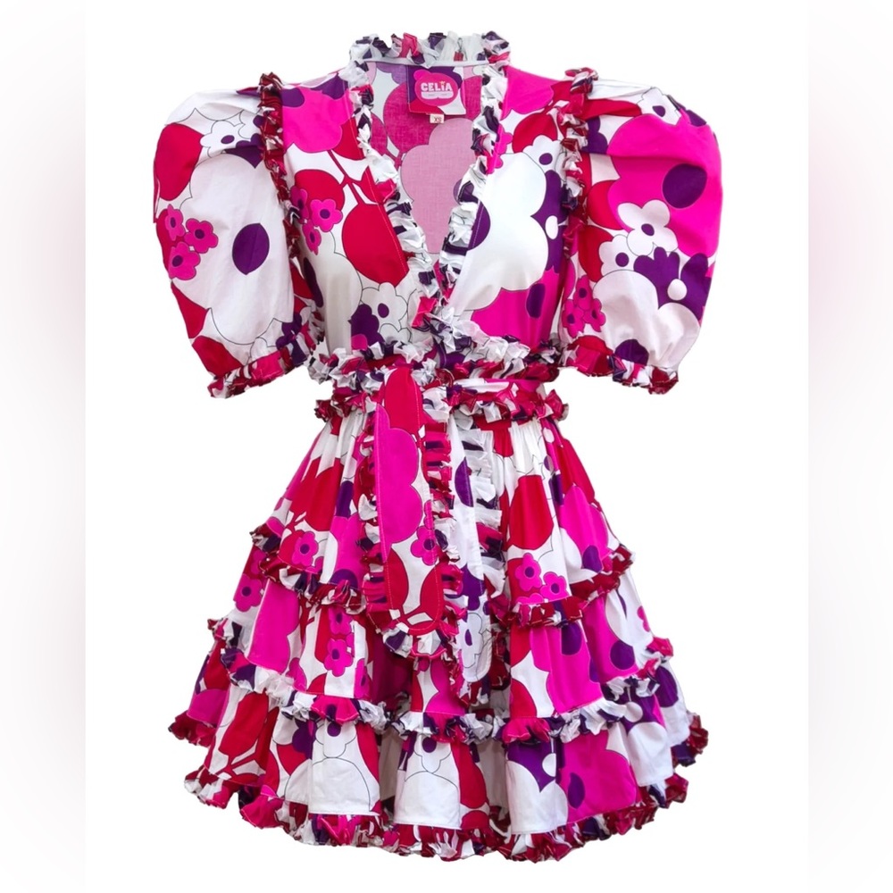 CeliaB Pink and Purple Floral Dress